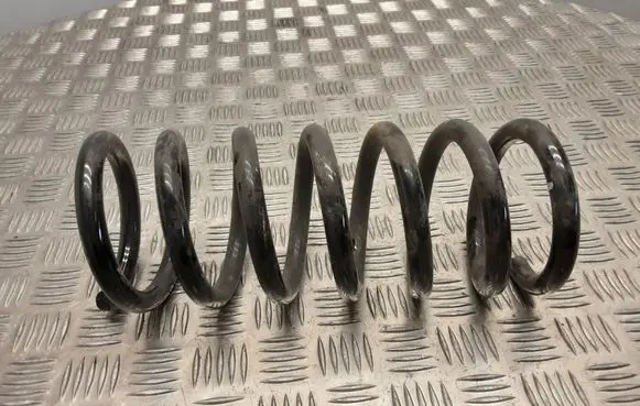 Opel Antara Rear coil spring