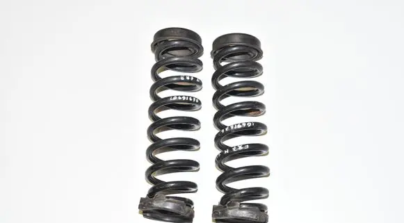 Rear coil spring