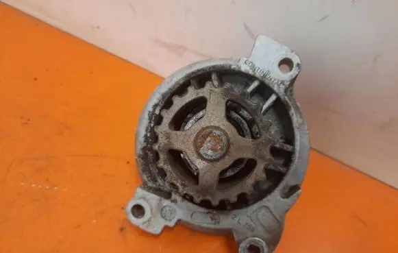 Volkswagen PASSAT B5.5 Water pump