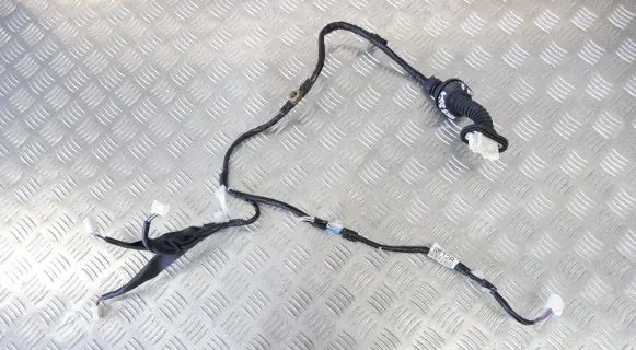 Rear door wiring loom