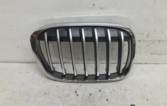 BMW X1 F48 F49 Front bumper upper radiator grill 7383366 7354824