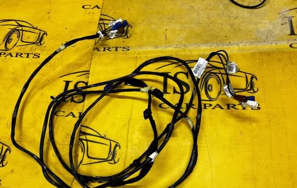 Dacia Sandero III Wiring harness 282438934R