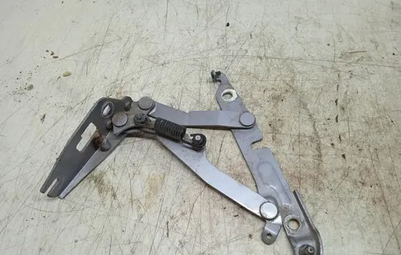 Tailgate/trunk/boot hinge