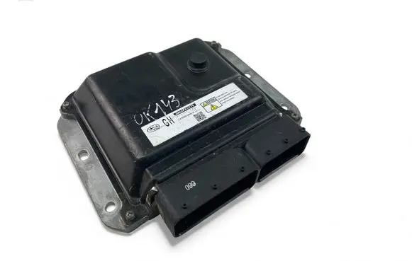 Engine control unit/module ECU