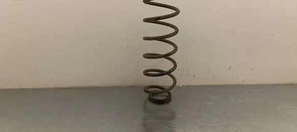 Opel Crossland X Rear coil spring