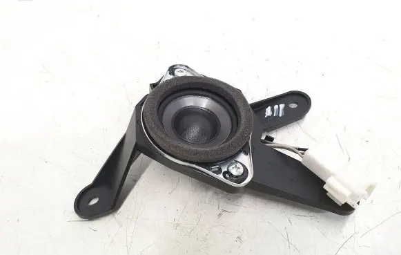 Lexus IS 220D-250-350 Front door speaker 4616053240