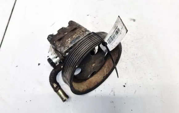 Suzuki Grand Vitara II Power steering pump