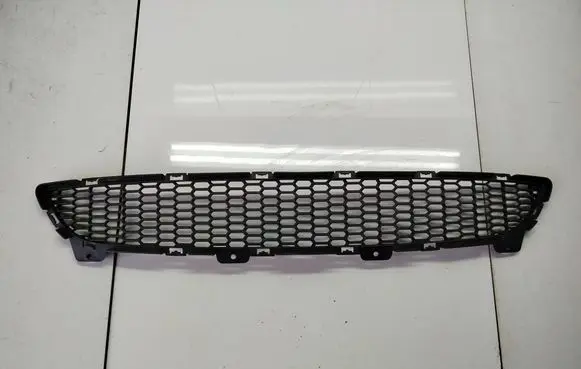 BMW Z4 E89 Front bumper lower grill 7903744