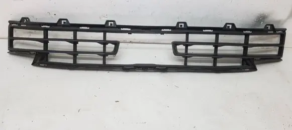 BMW 1 F40 Front bumper lower grill 51117459712