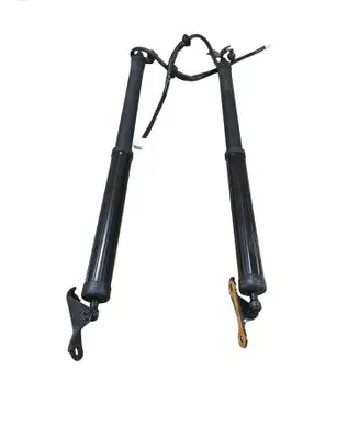 Toyota RAV 4 (XA50) Tailgate/trunk strut/damper 6891042060 6892042020 68910-42060