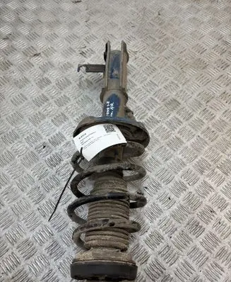 Opel Insignia A Front shock absorber/damper 