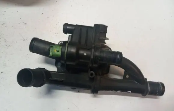 Thermostat/thermostat housing