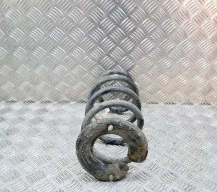 Tesla Model 3 Rear coil spring 104447201E
