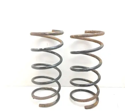 Hyundai Terracan Rear coil spring