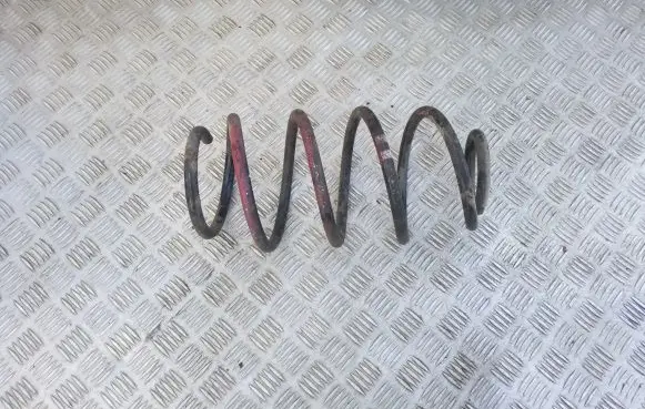 Front coil spring
