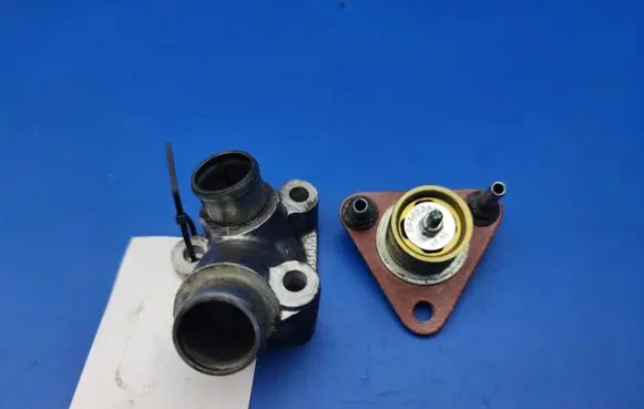 Thermostat/thermostat housing