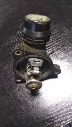 Thermostat/thermostat housing