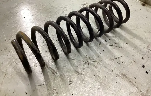 Ford Focus Rear coil spring 790761000487
