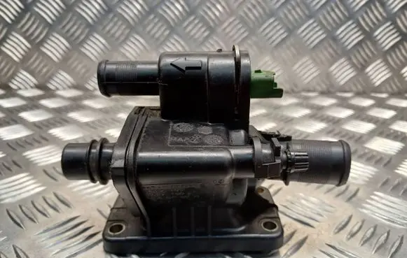 Thermostat/thermostat housing
