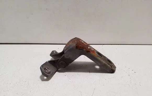 Suzuki Grand Vitara II Front door lower hinge 