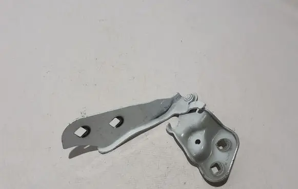 Tesla Model 3 Engine bonnet/hood hinges 109879300