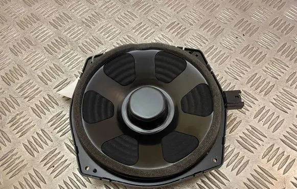Land Rover Discovery 5 Front door speaker DPLA18808DB