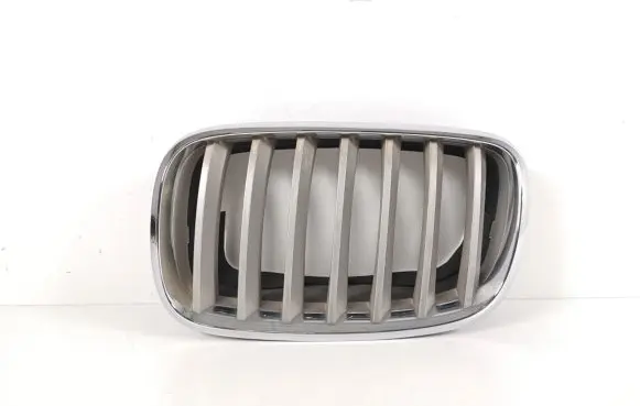 BMW X5 E70 Front grill 7185223