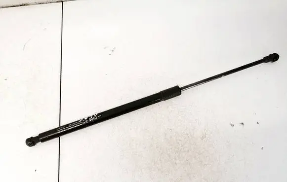Tailgate/trunk strut/damper