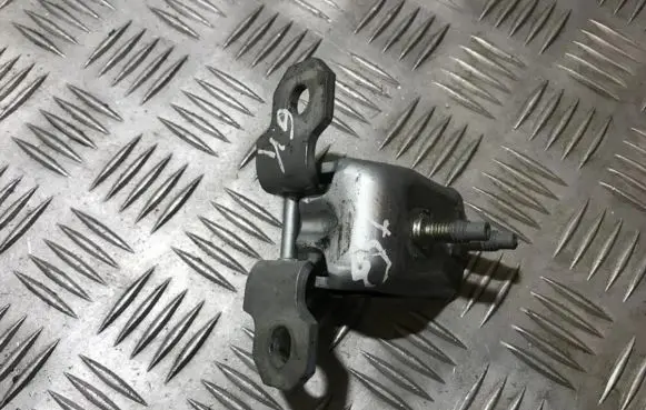 Rear door lower hinge