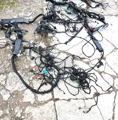 Porsche Cayenne (92A) Wiring harness 