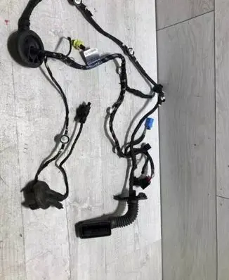 Front door wiring loom