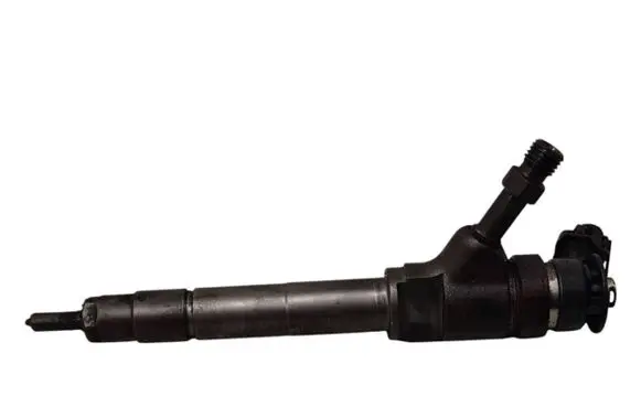 Citroen Berlingo Fuel injector 0445110250 WLAA13H50