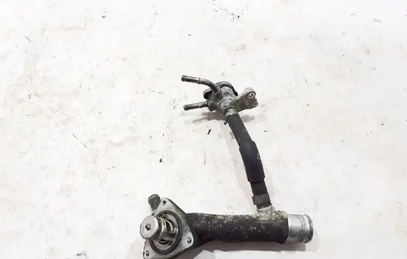 Thermostat/thermostat housing