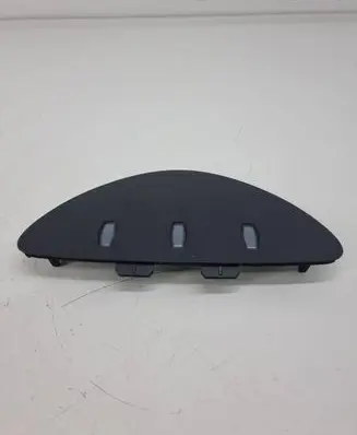 Nissan Leaf I (ZE0) Panel trim 250203na0b