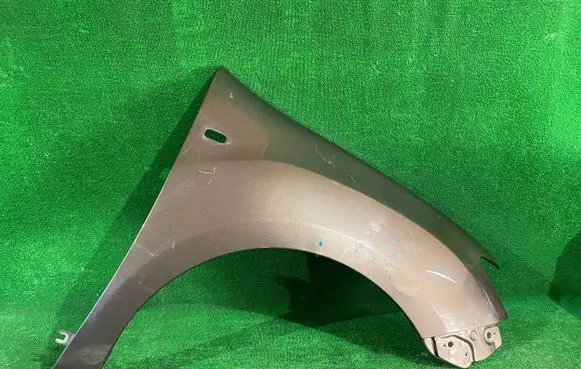 Renault Sandero II Fender