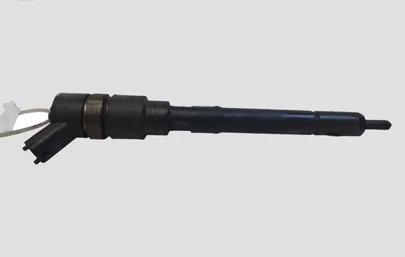 Hyundai Tucson JM Fuel injector 0445110258 3380027400