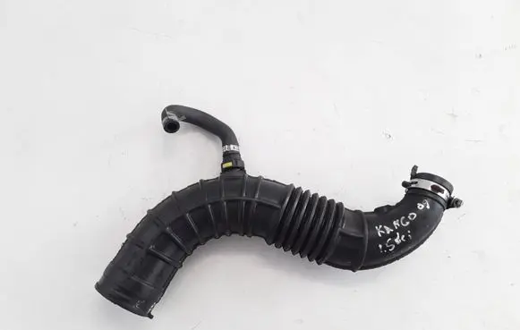 Renault Kangoo II Coolant pipe/hose 8200500384