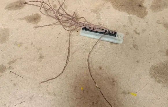 Other wiring loom