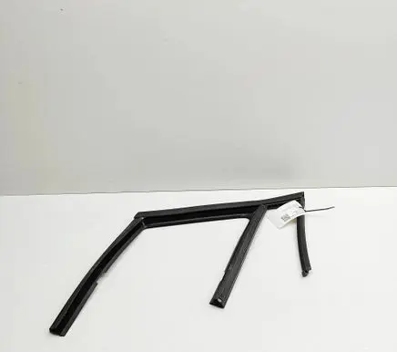Fisker Ocean Rear side window FM2955100228C