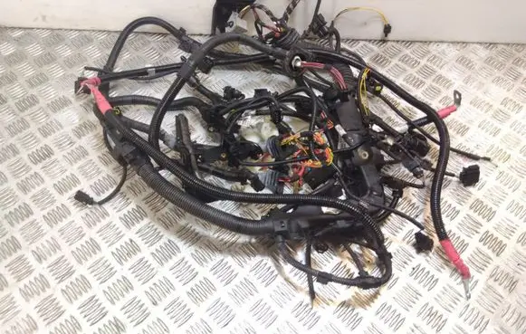 BMW 7 F01 F02 F03 F04 Engine installation wiring loom 8513251 61181060