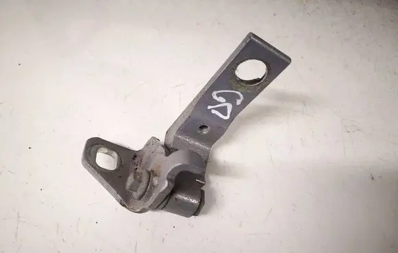Rear door lower hinge