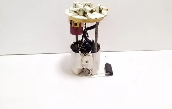 Opel Ampera In-tank fuel pump 13583977 A2121670408