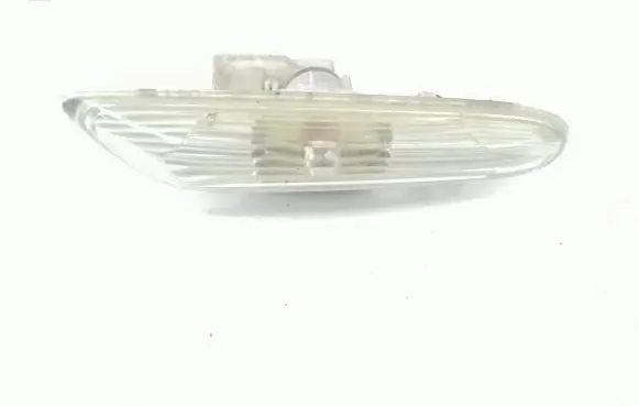 Front fender indicator light