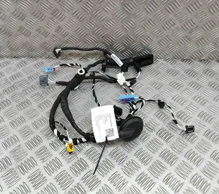 Volkswagen Tiguan Front door wiring loom 5NC971161EG