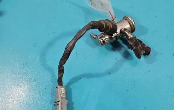 Renault Trafic III (X82) Fuel injector 208997976R IMPRK1370784