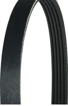 Chrysler Grand Voyager III Alternator belt J1050790