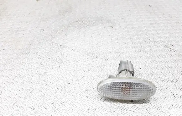 Front fender indicator light