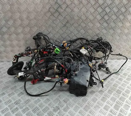 Volkswagen Golf VII Engine installation wiring loom 5Q1971111AA 5G0927903S