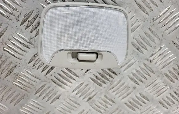 Fiat Fullback Headlining lighting console trim 