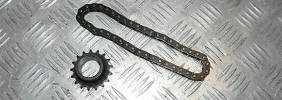 Renault Megane I Timing chain (engine) 